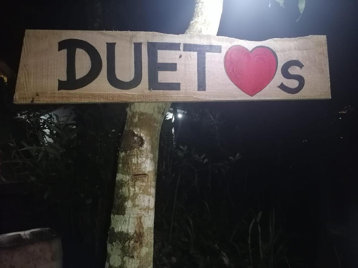 Duet Hearts Panzió Ella Kültér fotó